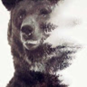 Meet your Posher, Kacy